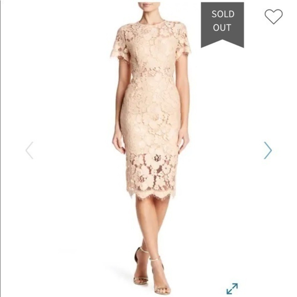 NSR Revolve Lace Sheath Midi Dress SM Short Sleeve Feminine Chic EUC